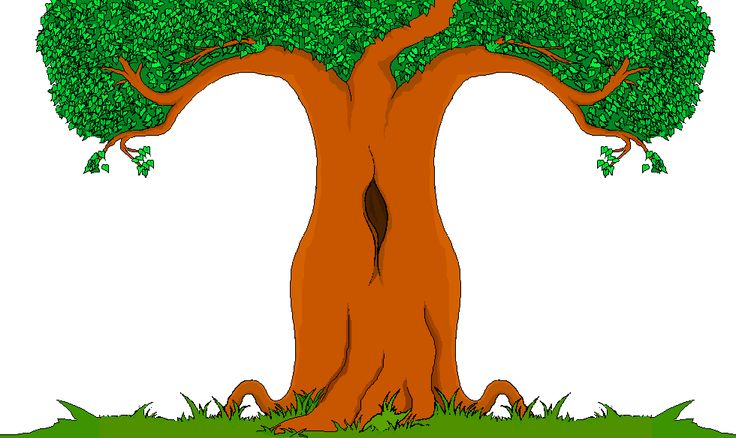 Cute & Colorful Cartoon Tree #cartoon #tree #illustration #forest ...