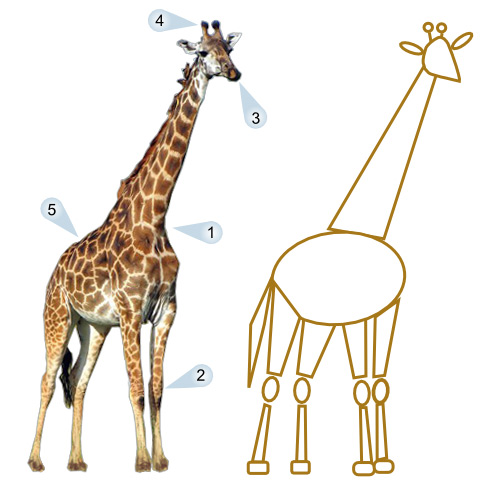 cartoon-giraffe-pictures.jpg