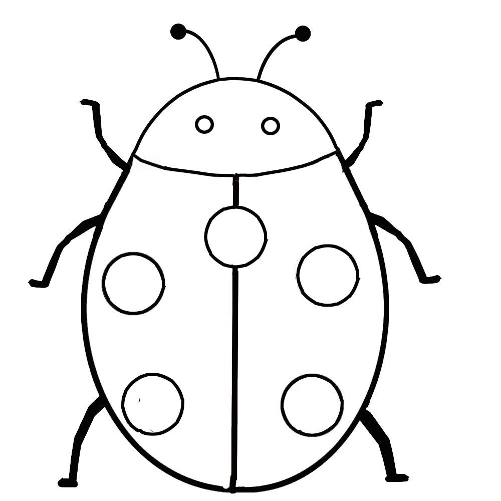 Free coloring pages of ladybird