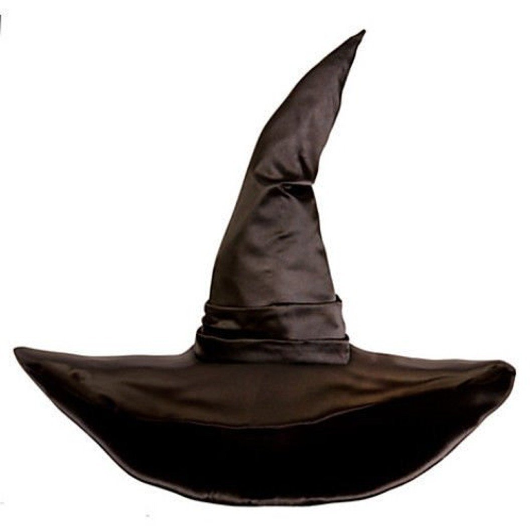 Amazon.com: Disney Exclusive Wicked Witch of the West Hat - Oz the ...