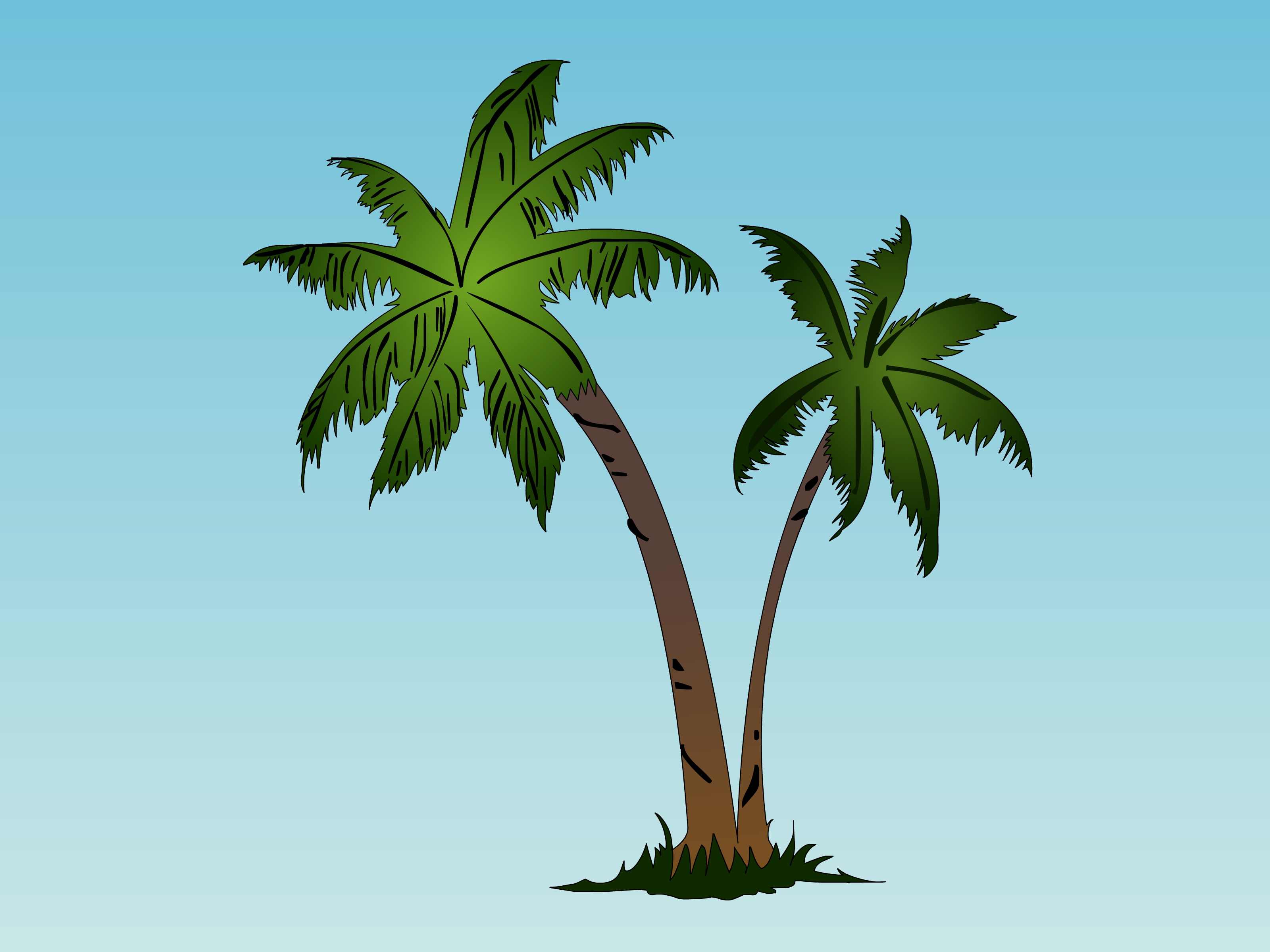 Palm Tree Drawing - Cliparts.co