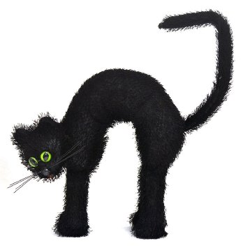 Amazon.com: Black Cat with Green Eyes Halloween Party Prop ...
