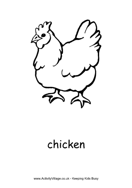 Chick Coloring Pages - Drawing Kids