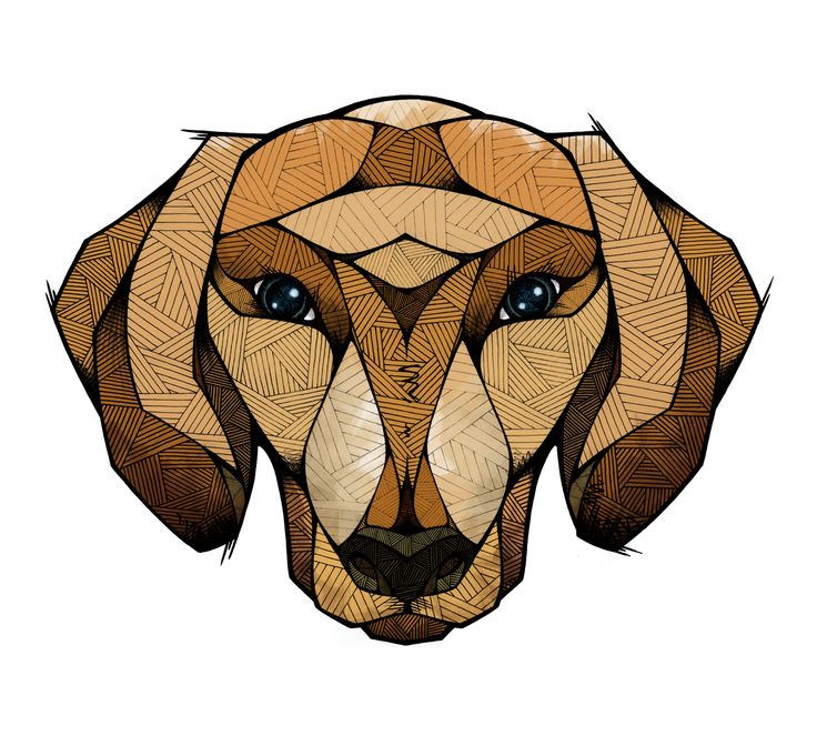 Download Russian Elite Image Of Iran: From