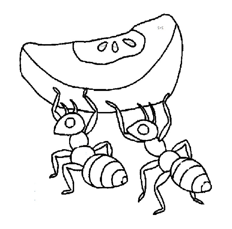 Ant Coloring Pages : Printables Ant With Slice Apple Coloring Page ...