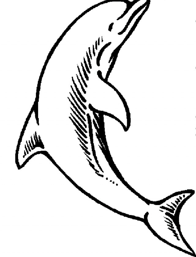 Download Dolphin The Cutest Sea Animal Coloring Pages Or Print ...