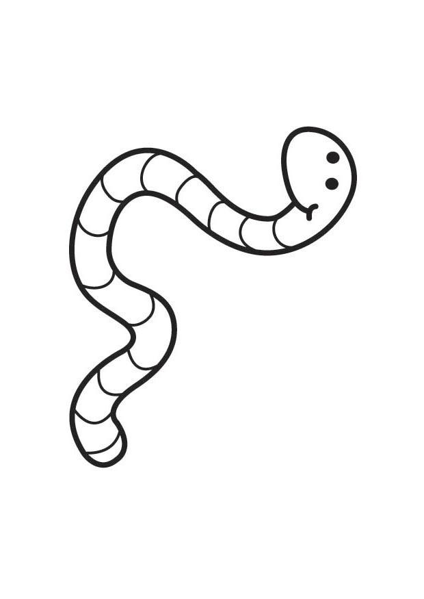 18 Worm Coloring | Free Coloring Page Site