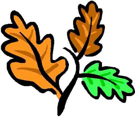 Oak tree leaf clip art | Free Reference Images