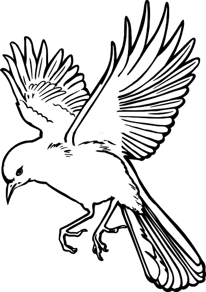 Bird Outline Drawing - ClipArt Best