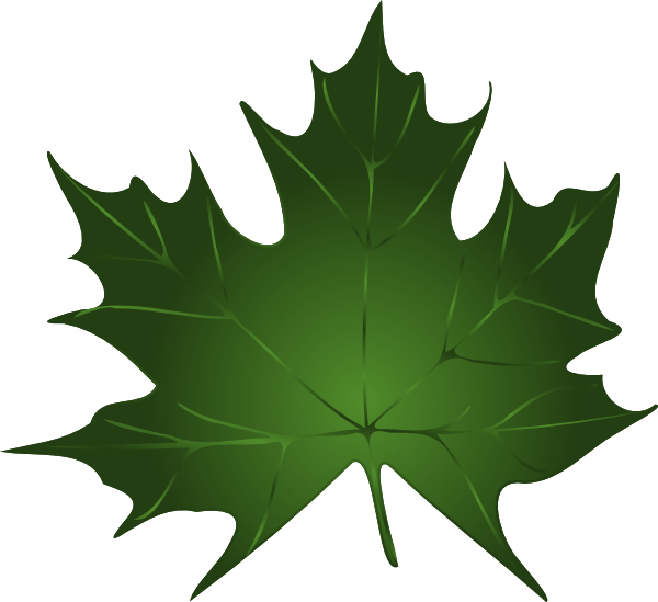 Green Maple Leaf clip art - vector clip art online, royalty free ...