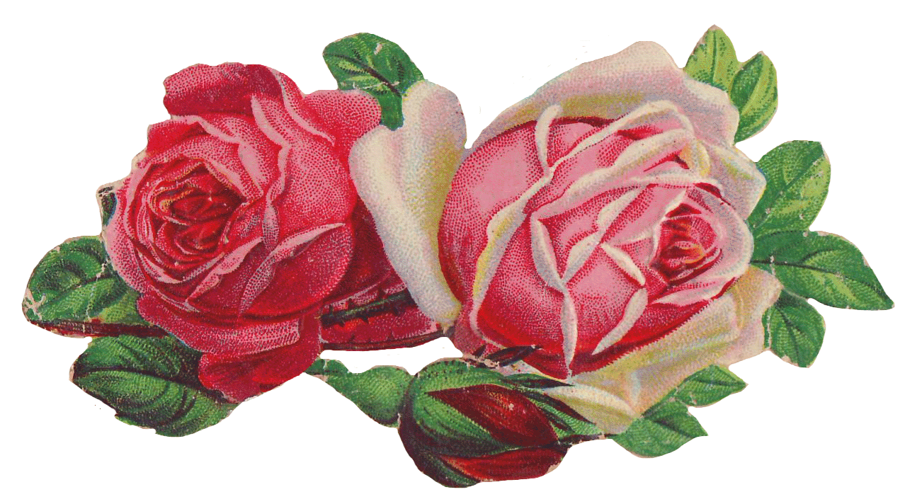 roses gif - Page 13
