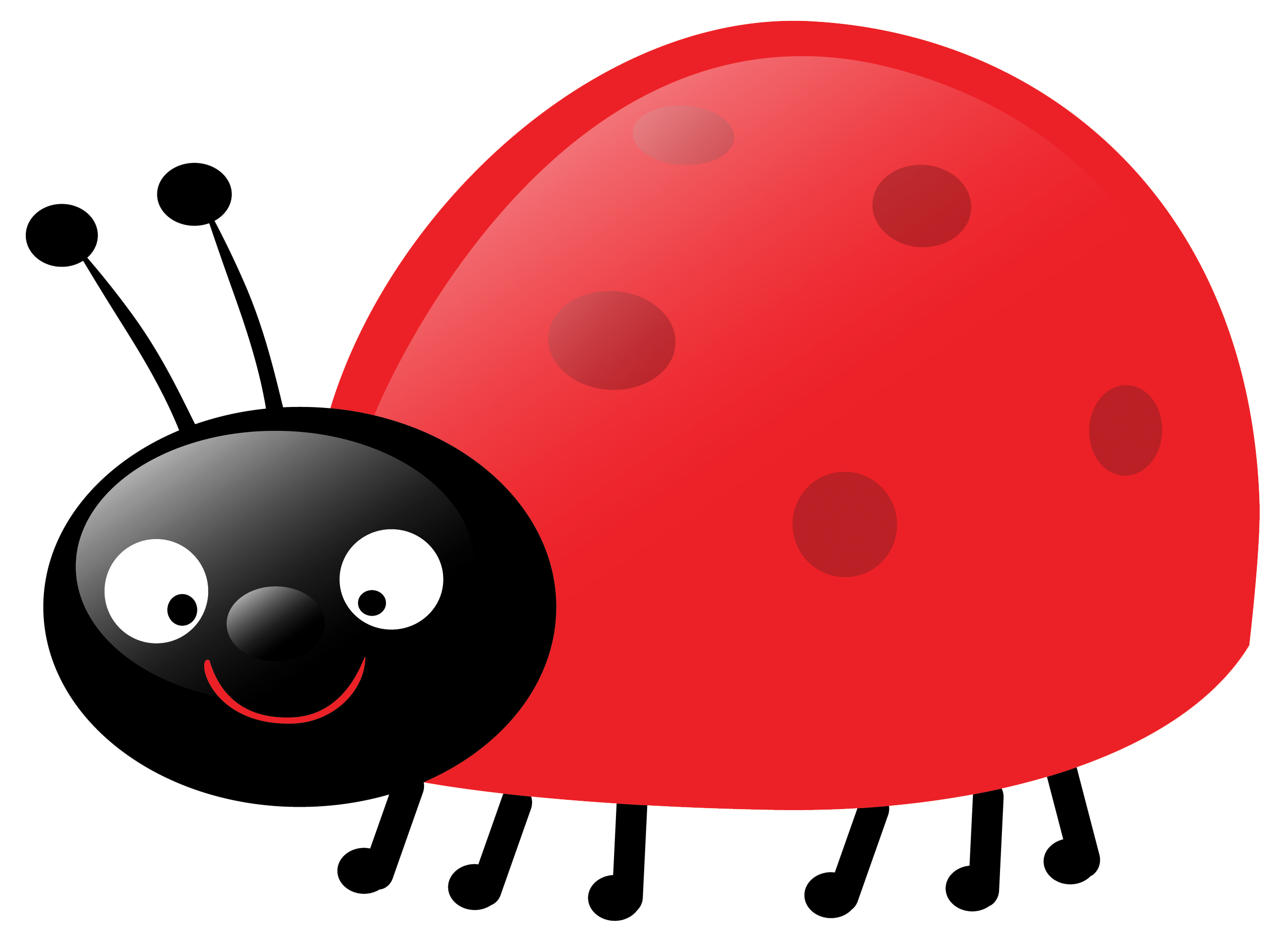 Images For > Baby Ladybug Clipart