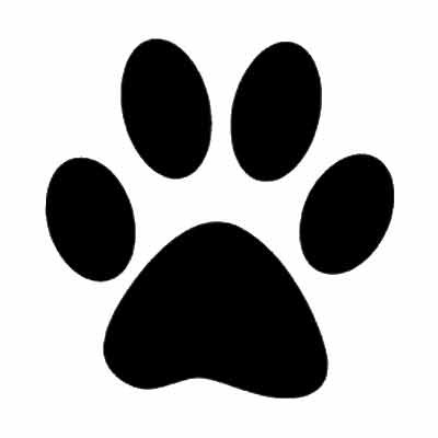 Pix For > Paw Print Pumpkin Stencil