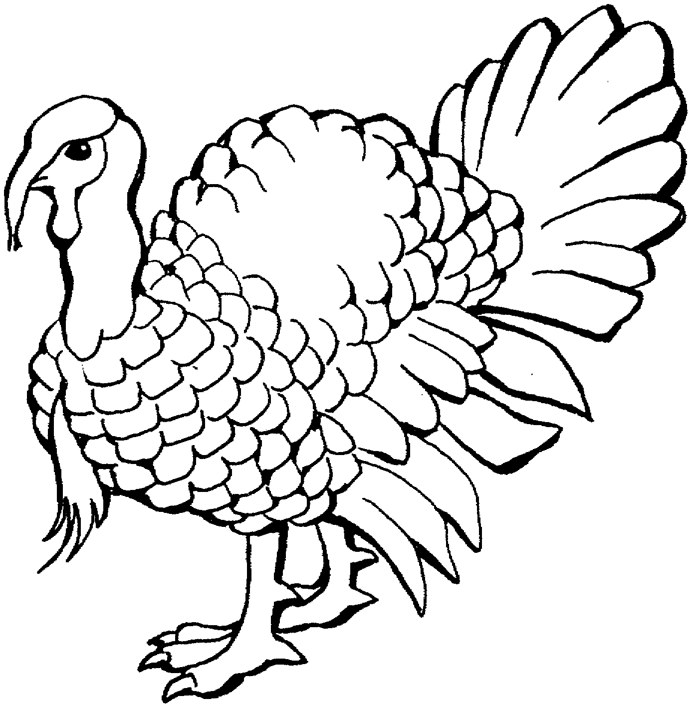 Trends For > Cooked Turkey Leg Coloring Pages