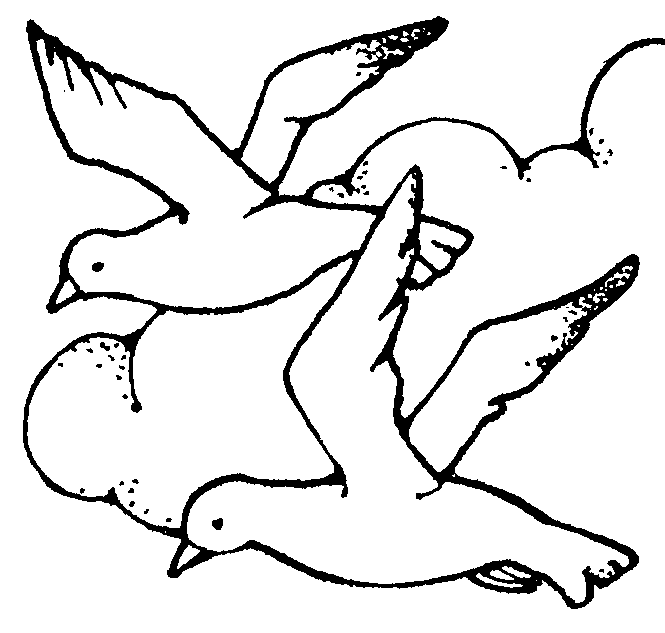 Seagull Clipart Black And White | Clipart Panda - Free Clipart Images