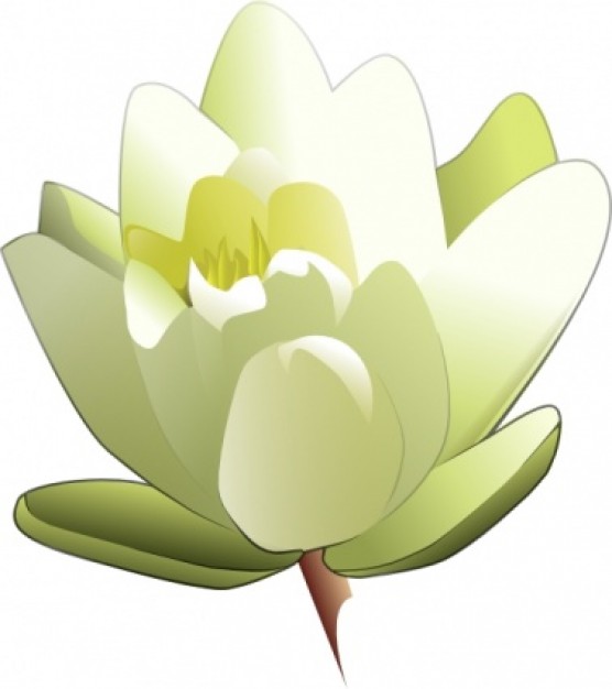 Leland Mcinnes Water Lily clip art Vector | Free Download