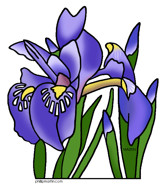 free iris flower clipart - photo #6
