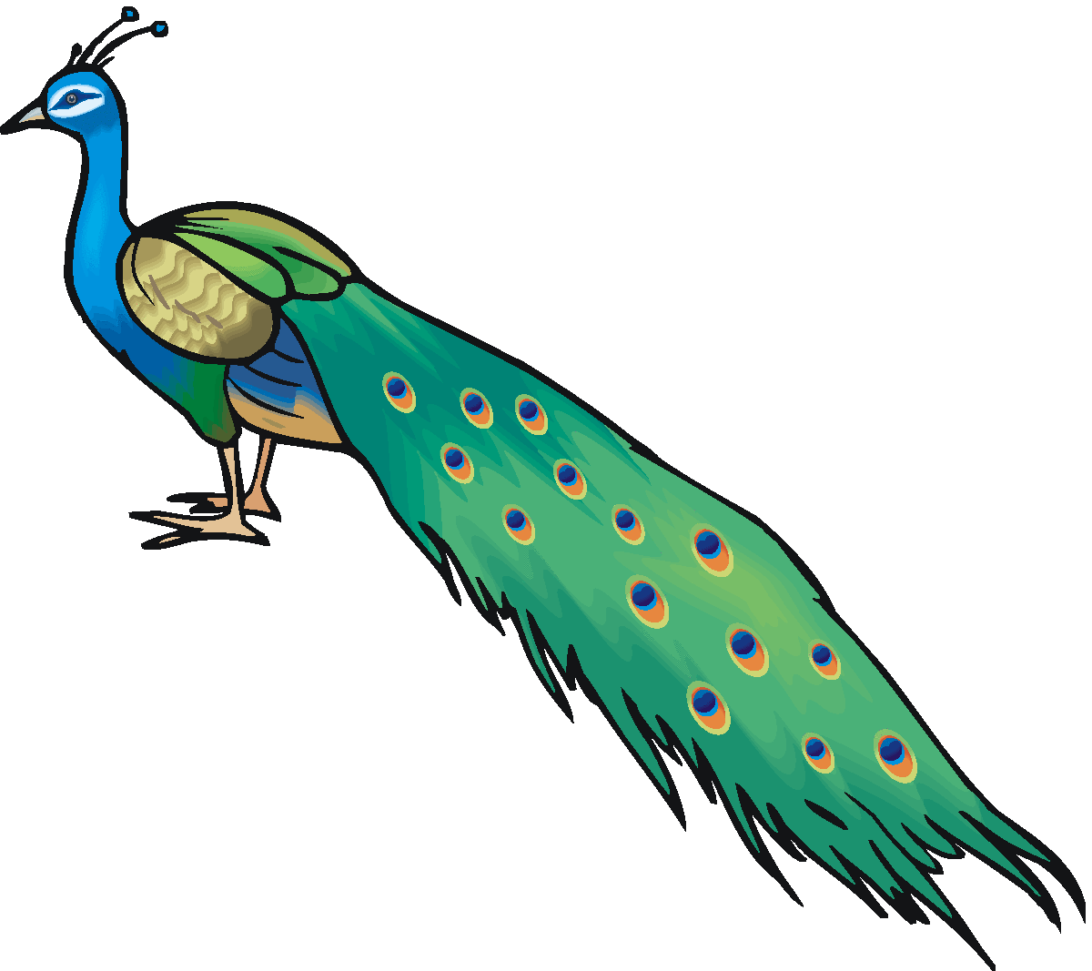 Peacock Feathers | Clipart Panda - Free Clipart Images