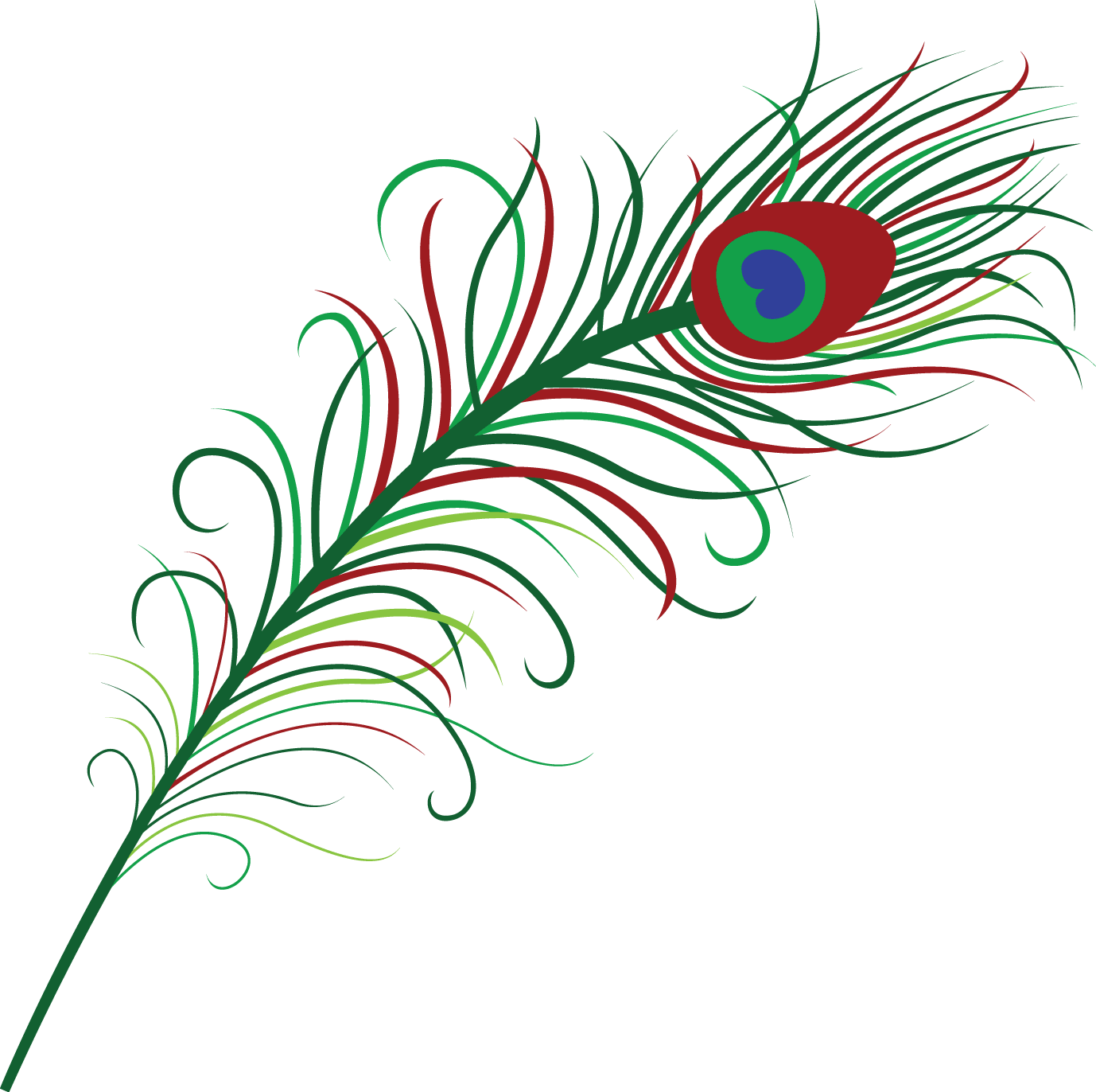 Peacock Feather - Download free Other vectors - ClipArt Best ...