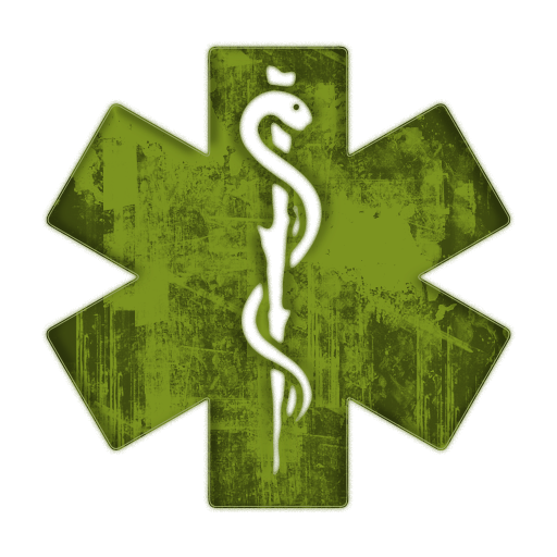 Medical Alert Symbol Icon #092805 » Icons Etc