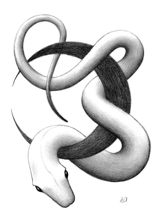 Snake Drawings In Pencil - Gallery