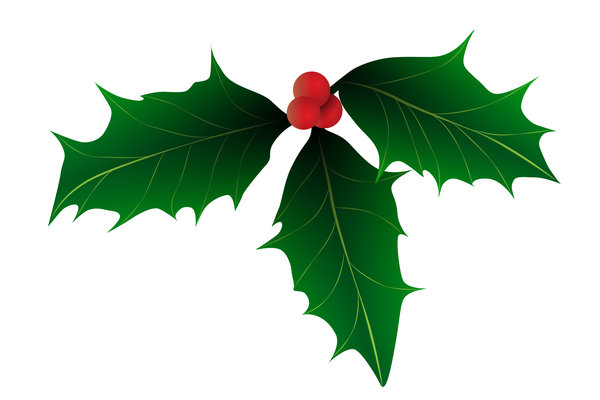 Free stock photos - Rgbstock -Free stock images | Christmas Holly ...