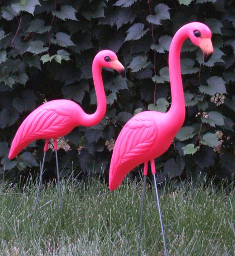 Plastic Pink Flamingos Lawn Ornaments for Garden or Yard!