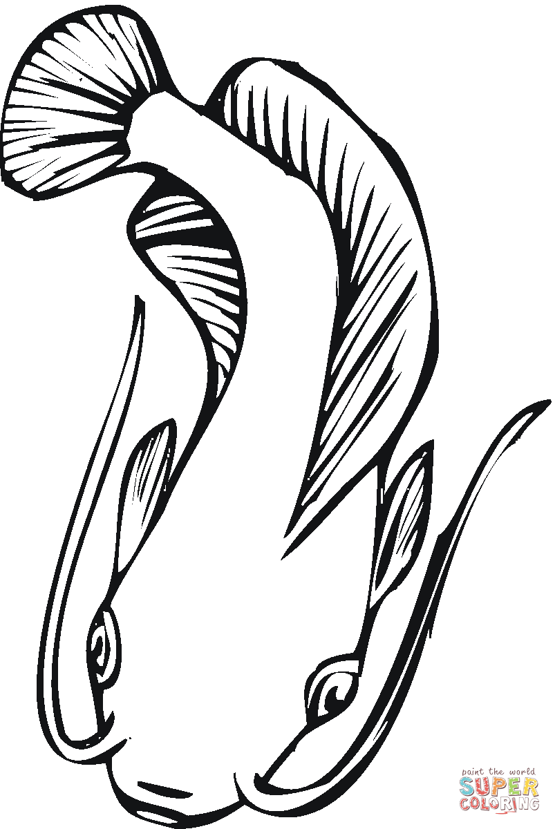 Catfish 15 Coloring Page | Free Printable Coloring Pages - Cliparts.co
