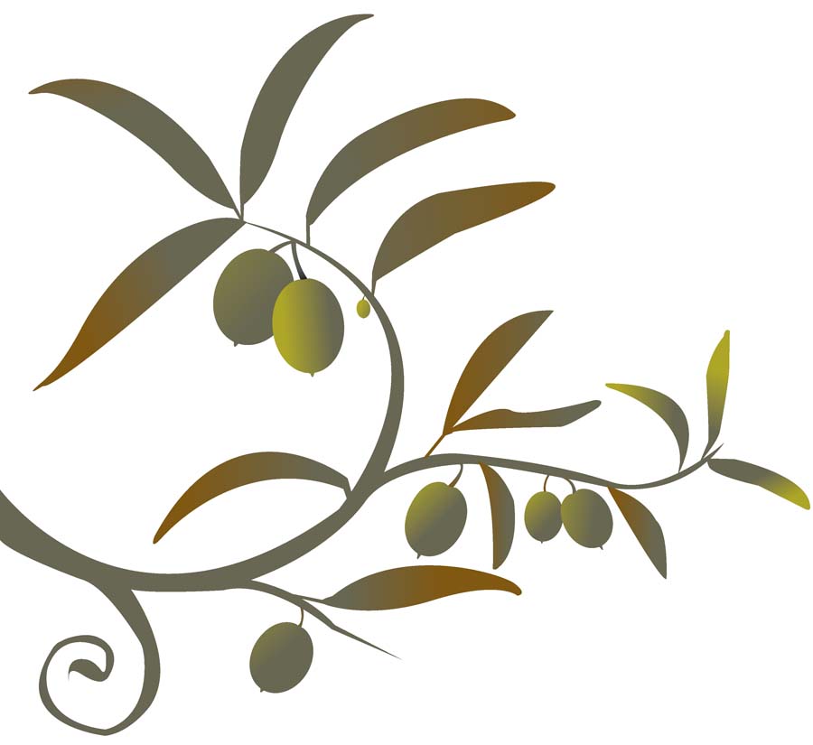 Olive Tree Branch Clip Art Tattoo Page 2