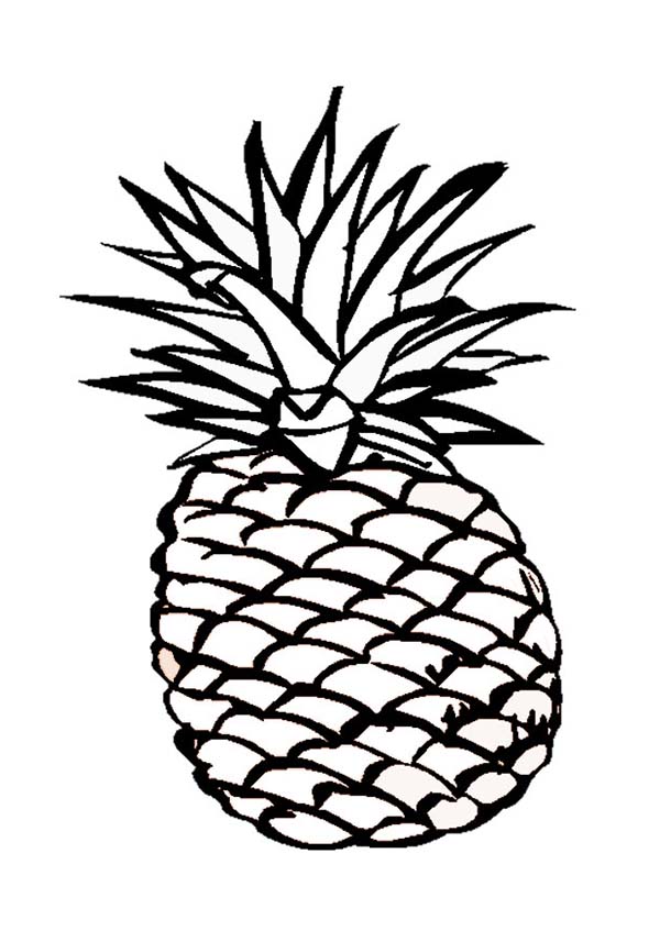 A Delicious Hawaiian Smooth Cayenne Pineapple Coloring Page ...