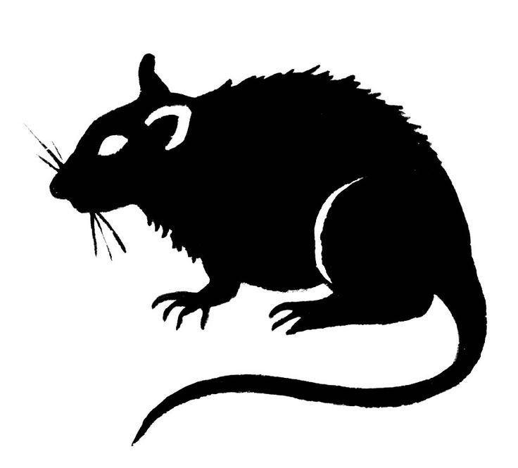 Rat Cut Out | Halloween | Pinterest