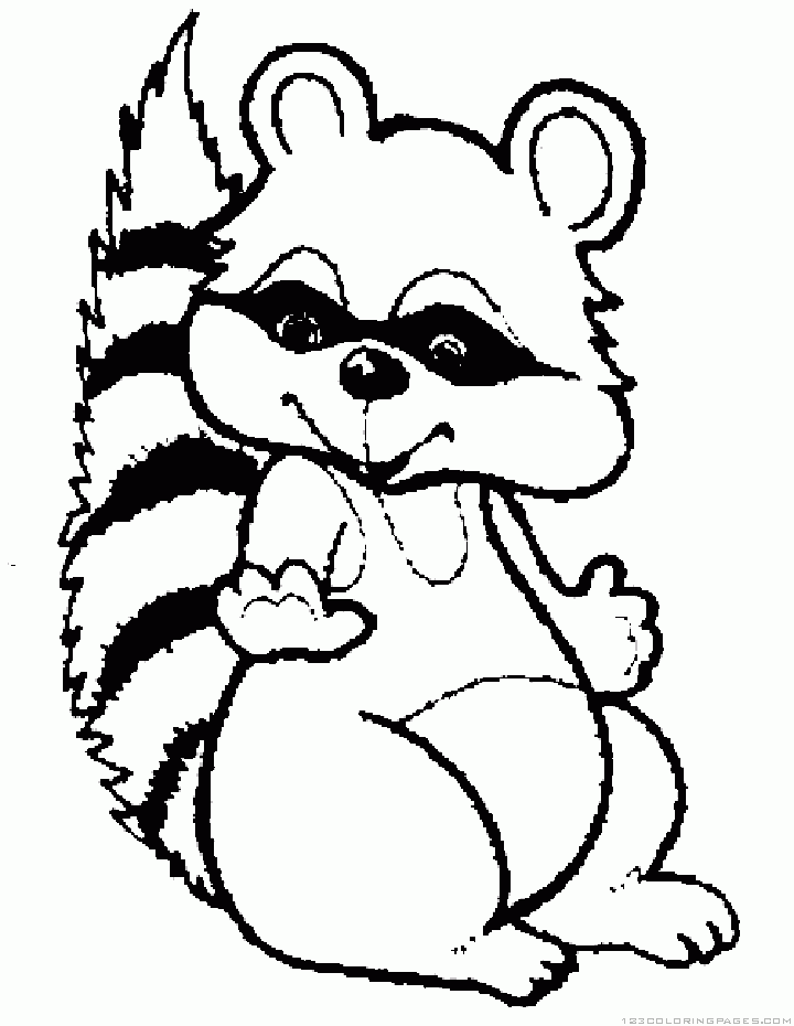 Raccoon Coloring Pages Clipartsco