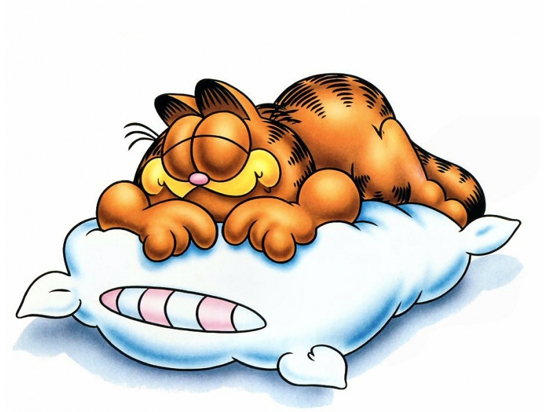 Garfield Sleeping Wallpaper