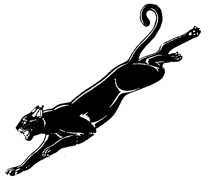 panther clipart free vector - photo #45