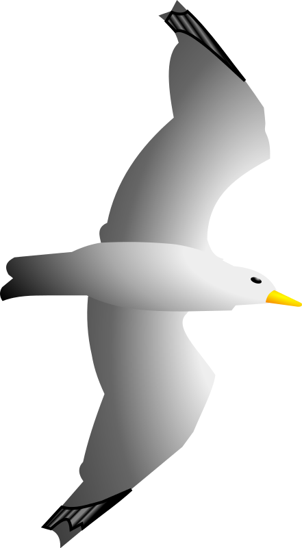 Free Flying Seagull Clip Art