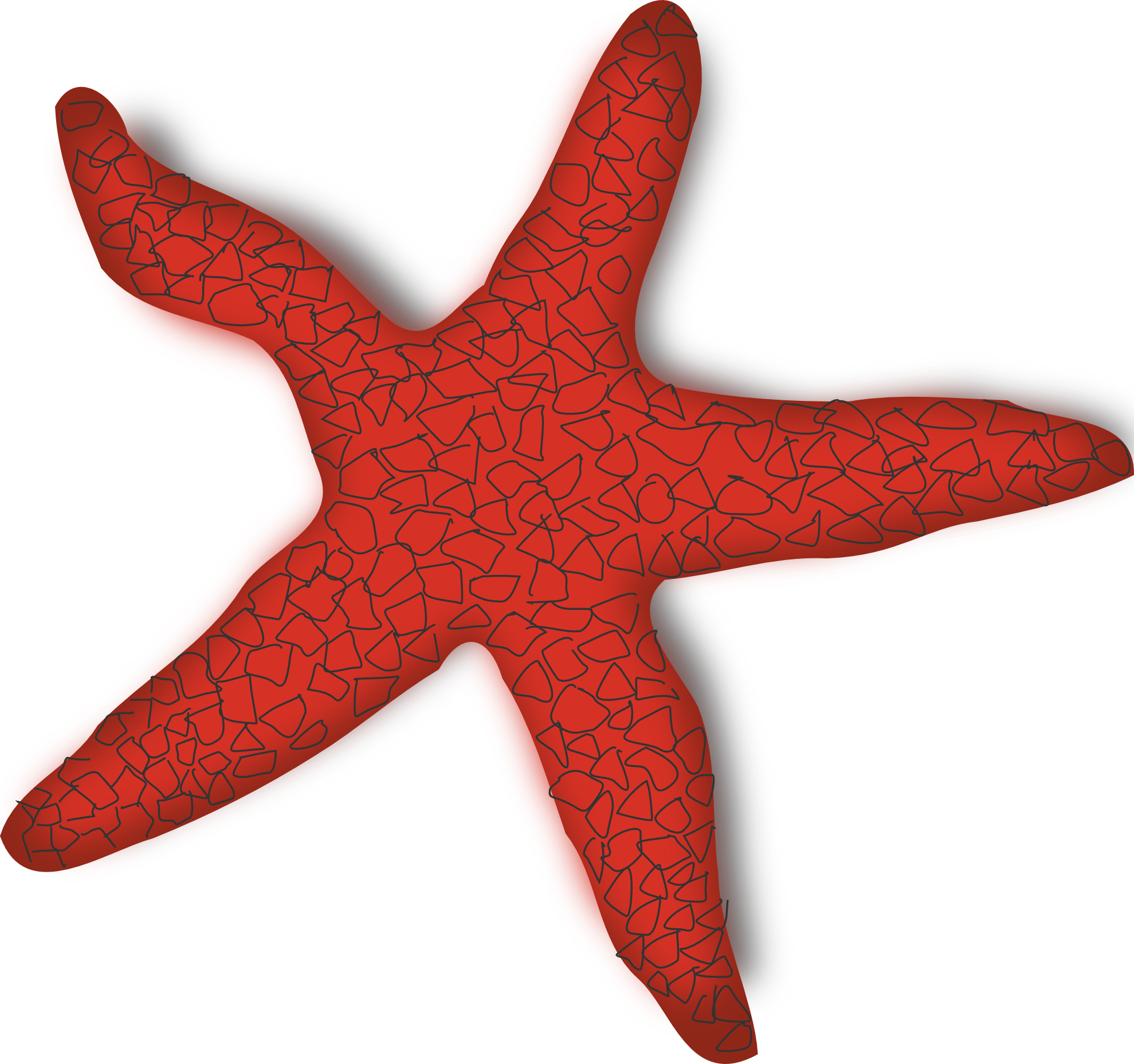 Starfish Clipart For Wedding Place Card | Clipart Panda - Free ...