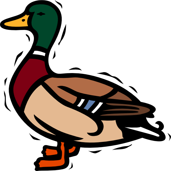 clipart cartoon ducks - photo #34
