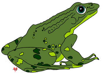 Free Frog Clipart,Echo's Frog Clipart,Real Animal to Cute Cartoon ...