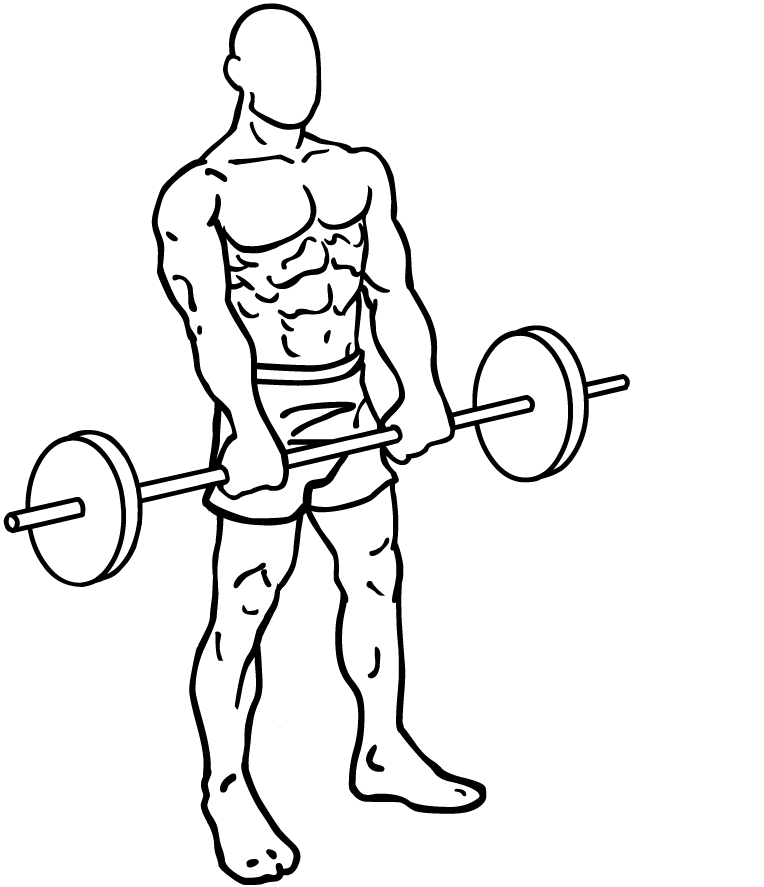 Barbell Front Raise - A Shoulders Exercise for your Shoulder ...