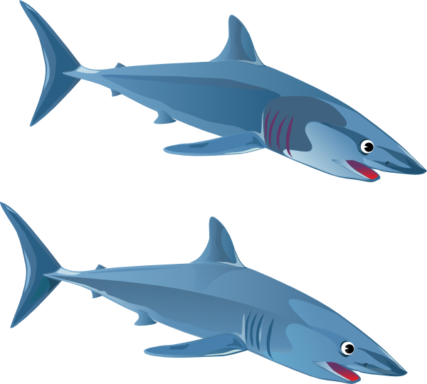 Blue Shark clip art - vector clip art online, royalty free ...