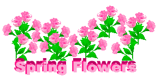 Spring Borders Clip Art Free - ClipArt Best