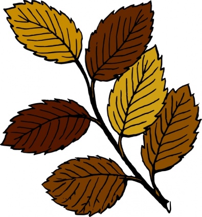 Cartoon Autumn Leaves - ClipArt Best