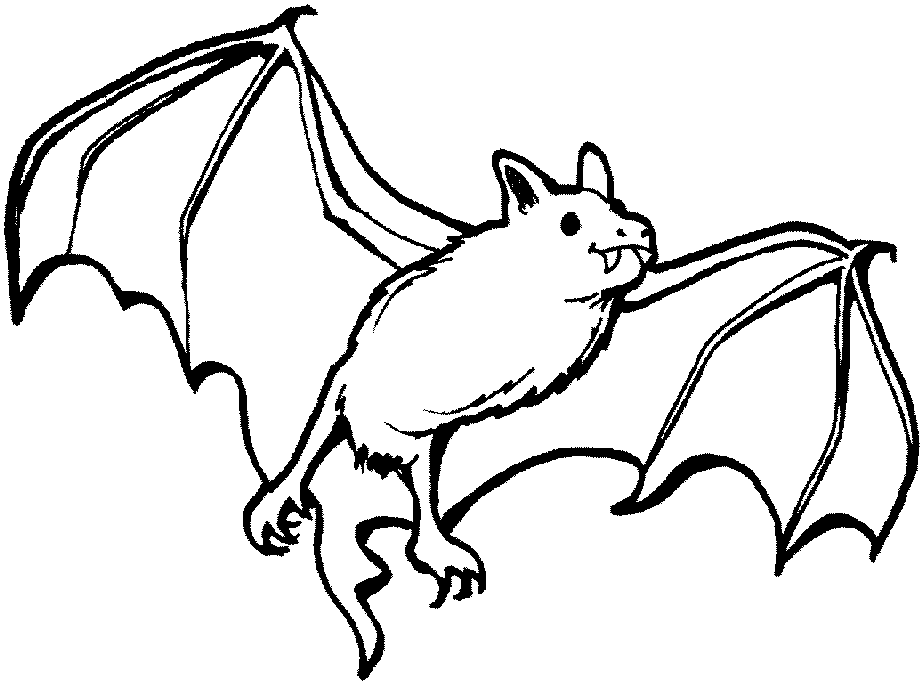 Pictxeer » Search Results » Bat Coloring Pages For Kids