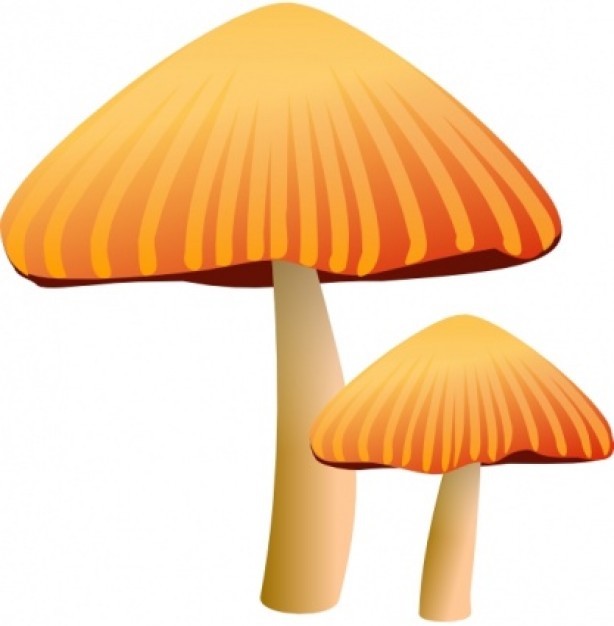Rockraikar Orange Mushroom clip art Vector | Free Download