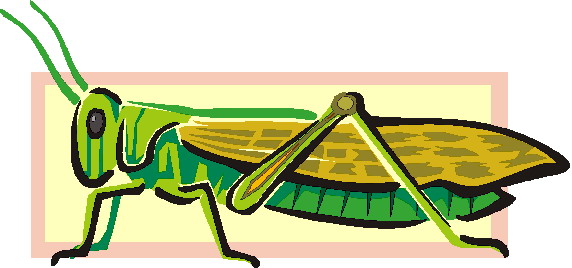 Cartoon Grasshopper Images - ClipArt Best