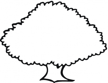 Tree Outline Image - Cliparts.co