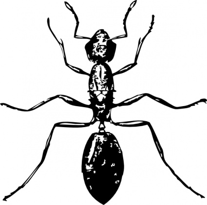Pix For > Ant Black And White Clipart