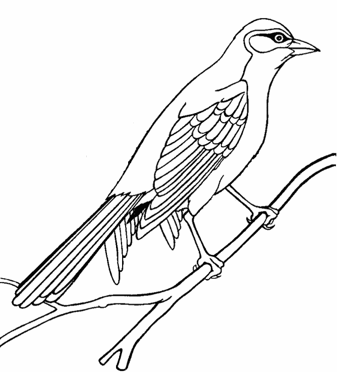 Outline Drawings Of Birds - Cliparts.co