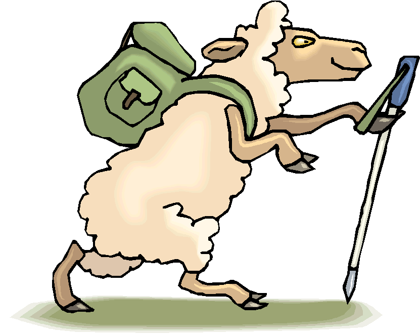 network marketing from my eyes: Sheep Walking vs MLM