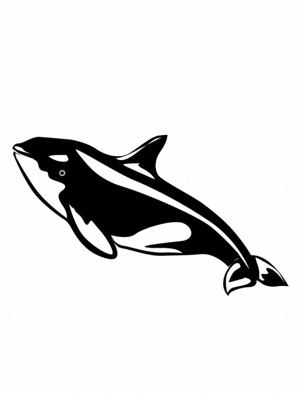 Orca Drawings ClipArt Best 159696 Orca Whale Coloring Pages